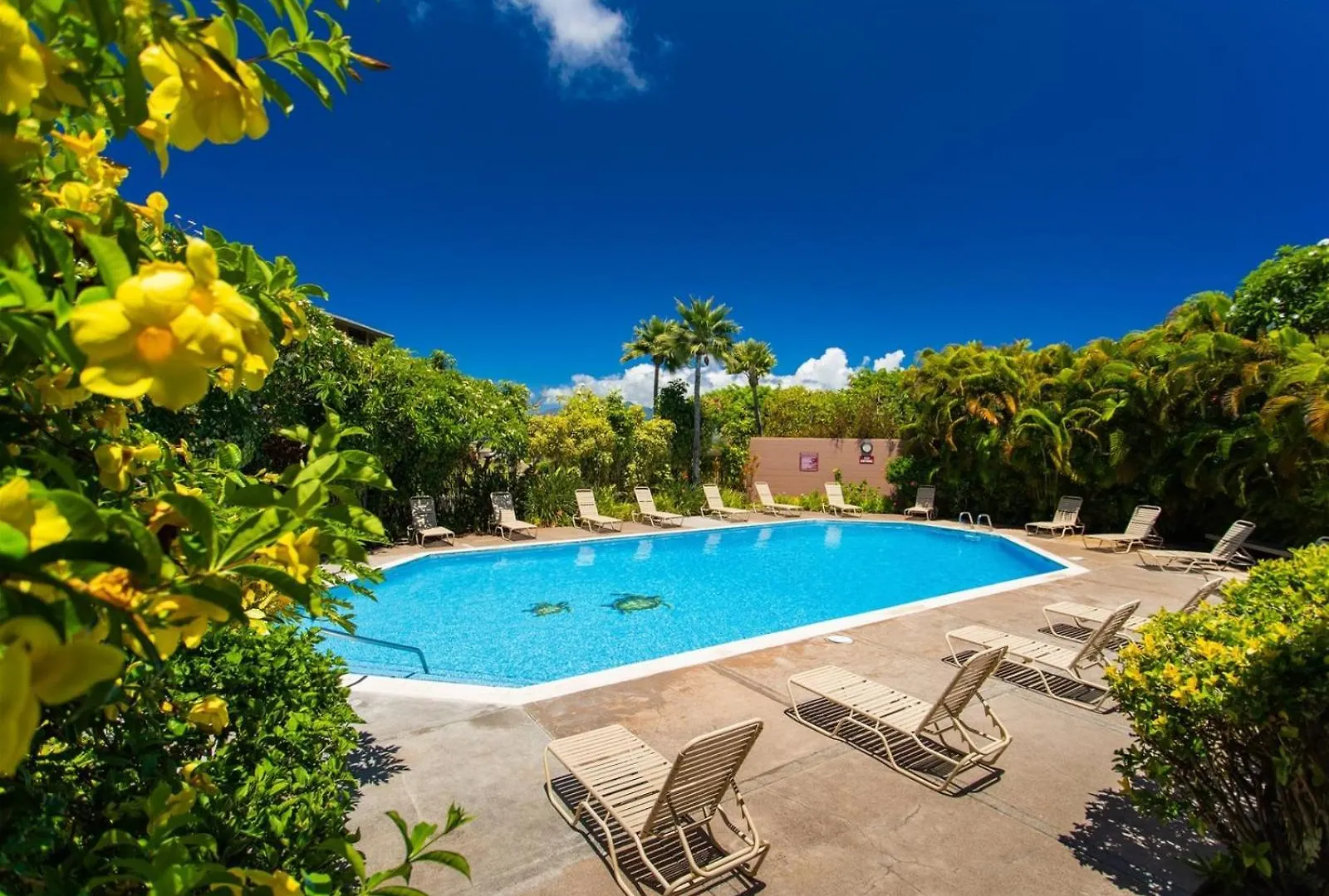 아파트 2412 Kapalua Ridge Villa Kahana 미국