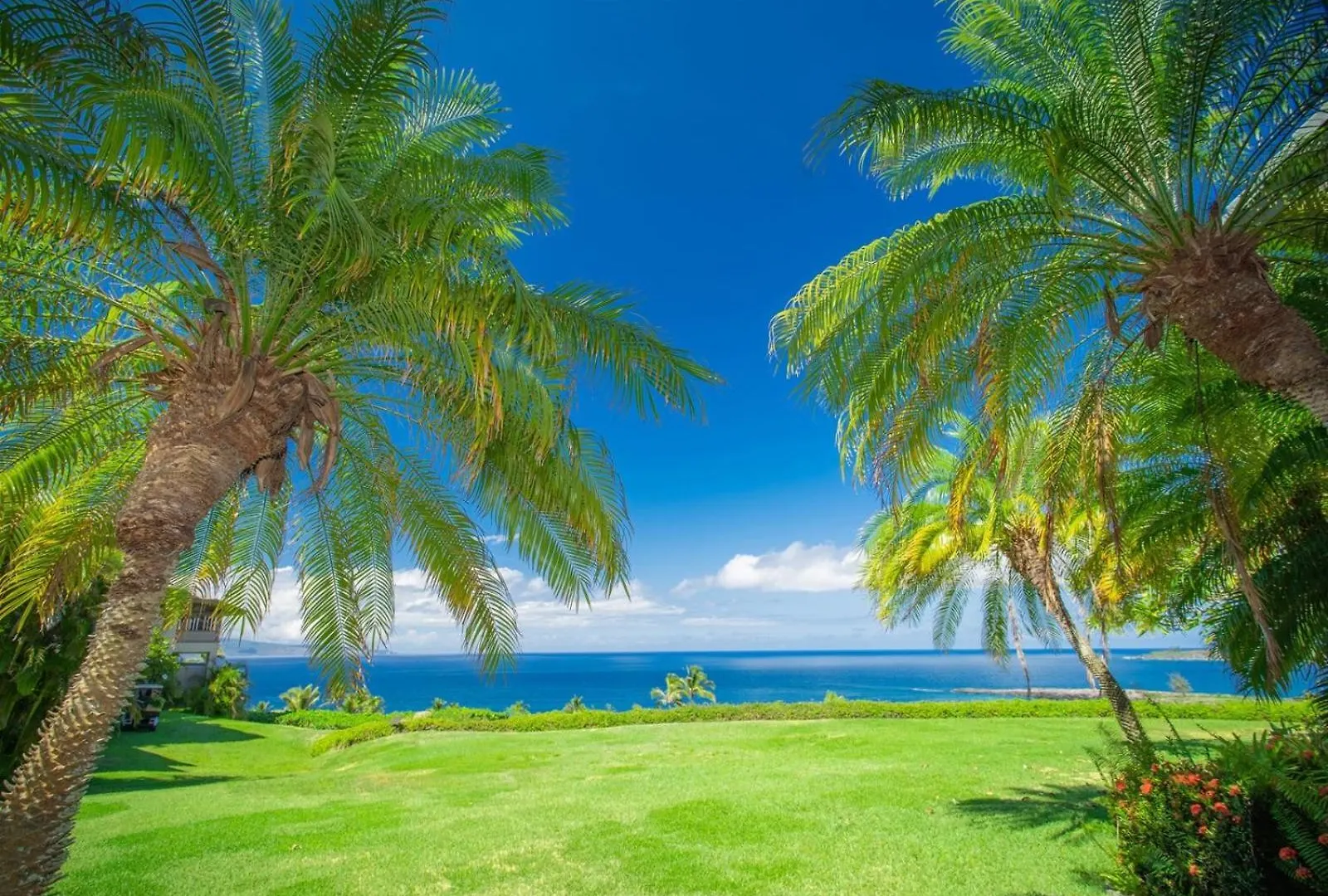 2412 Kapalua Ridge Villa Kahana 0*,  미국
